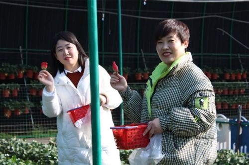泰安一滕松峪酒店開展“3·8女神節 向莓好出發”主題活動