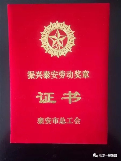 【祝賀】李金梁被授予振興泰安勞動獎章榮譽